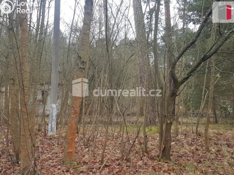 Prodej komerčního pozemku Luštěnice č. 5
