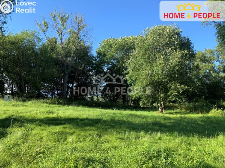 Prodej stavebního pozemku Horní Planá č. 2