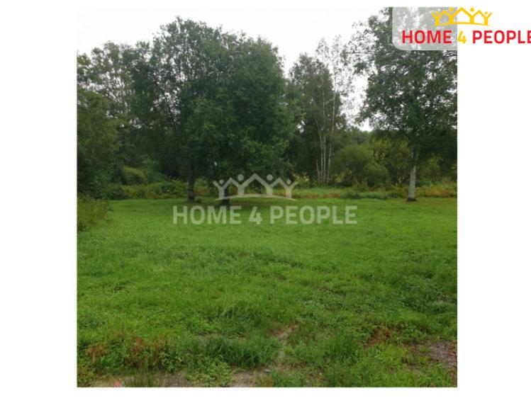 Prodej stavebního pozemku Horní Planá č. 9