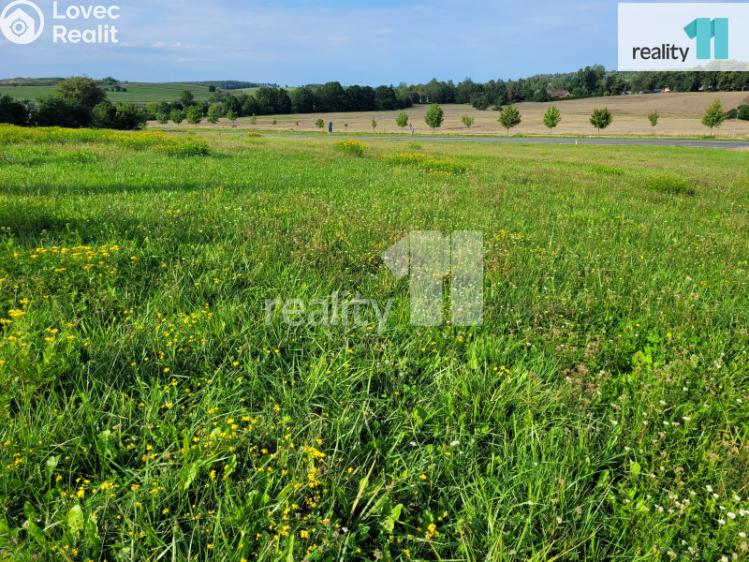Prodej stavebního pozemku Písek, Robinson č. 18
