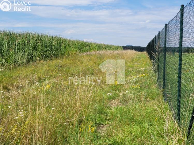 Prodej stavebního pozemku Čížová č. 5