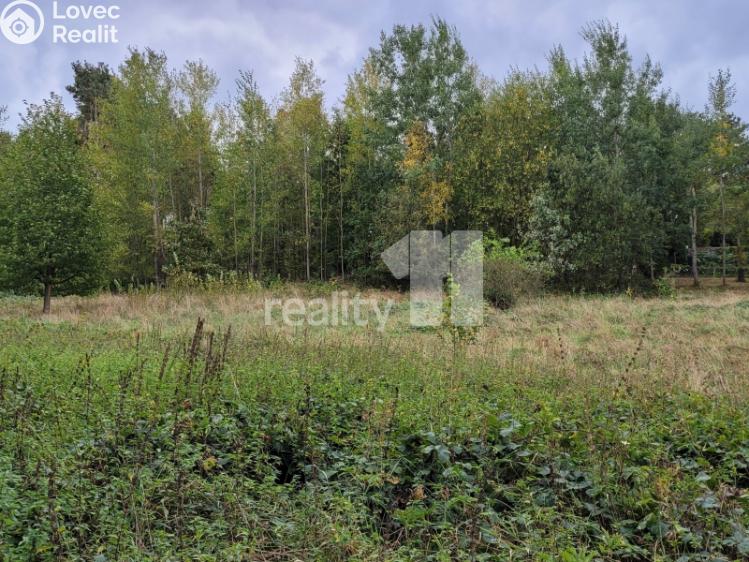 Prodej stavebního pozemku Písek, třída Přátelství 2002 č. 15