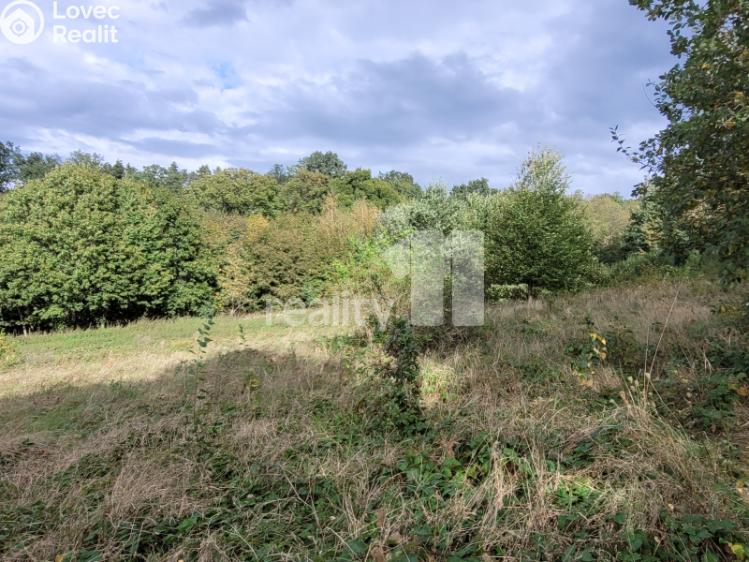 Prodej stavebního pozemku Písek, třída Přátelství 2002 č. 11