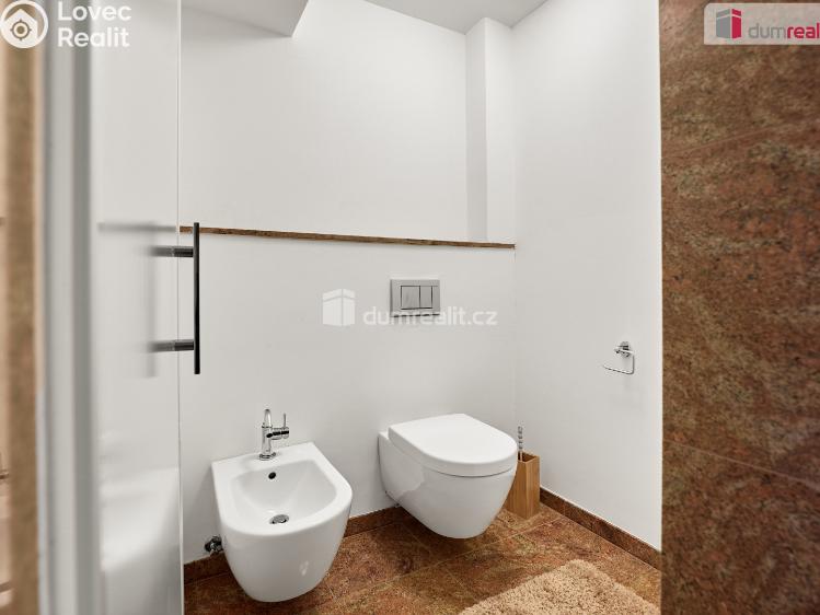 Продаж сімейного будинку Merklín č. 40