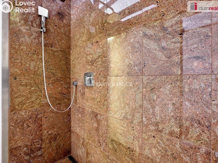 Продаж сімейного будинку Merklín č. 42