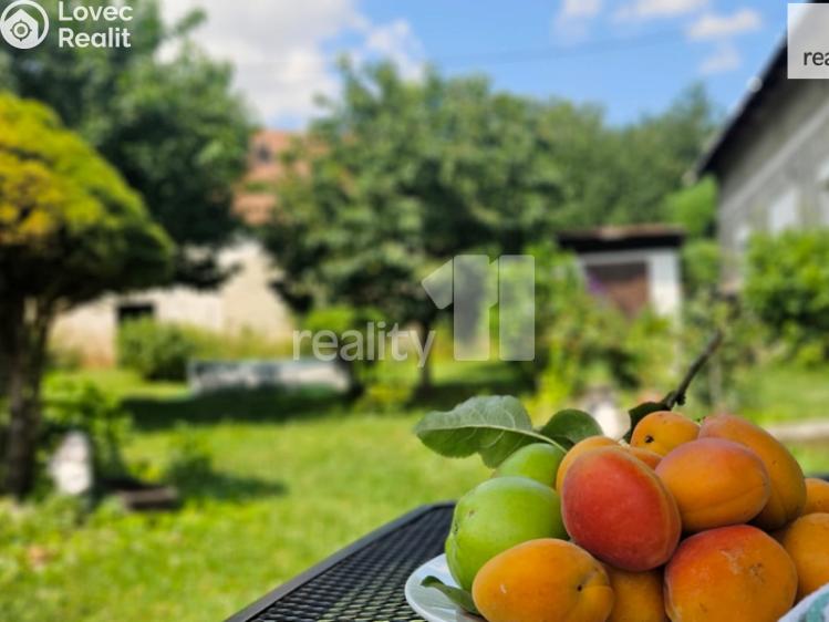 Продажа дачи Kutná Hora č. 13