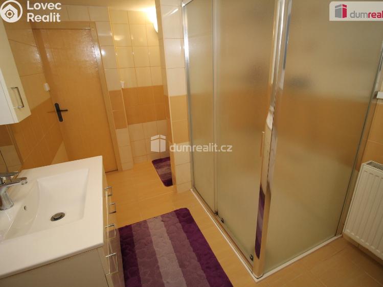 Sale hut Kraslice, B. Němcové č. 27