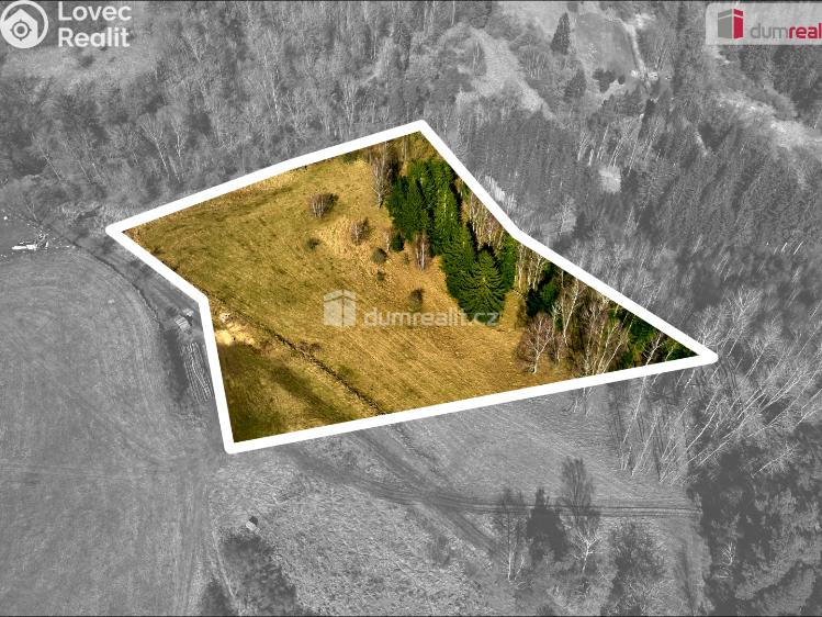 Prodej stavebního pozemku Planá č. 3