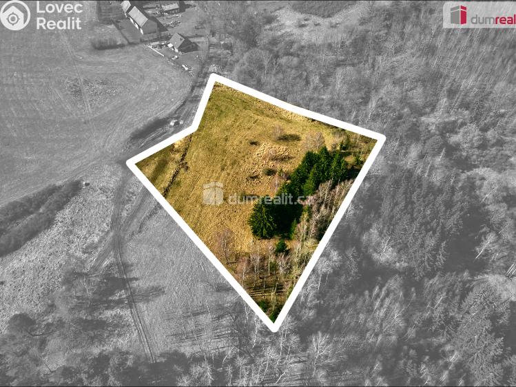 Prodej stavebního pozemku Planá č. 4