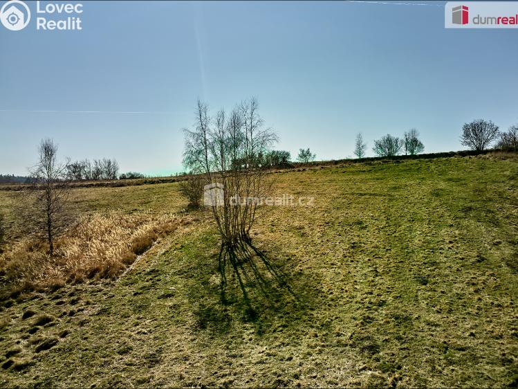 Prodej stavebního pozemku Planá č. 5