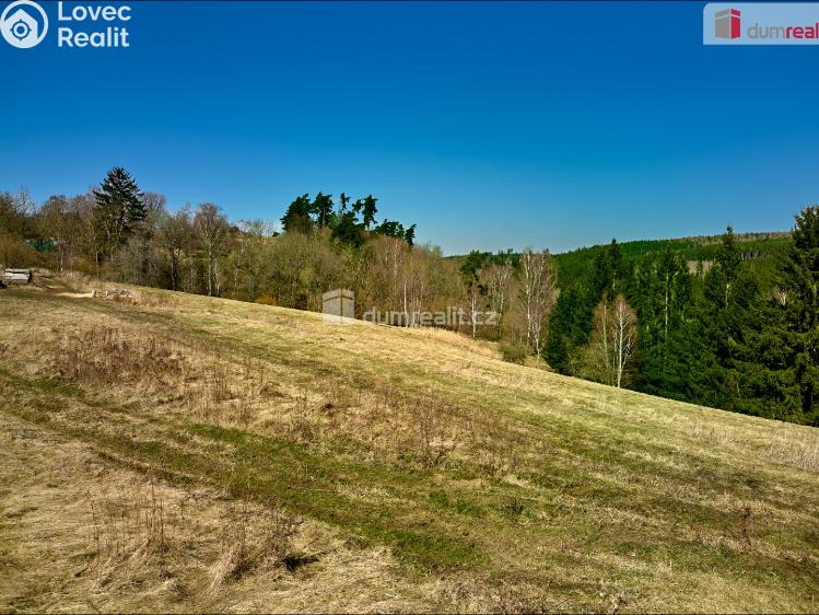 Prodej stavebního pozemku Planá č. 6