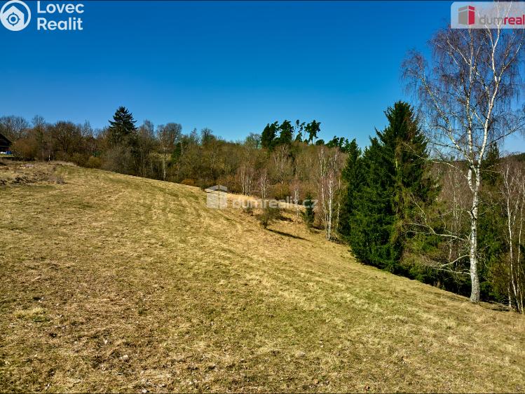 Prodej stavebního pozemku Planá č. 7