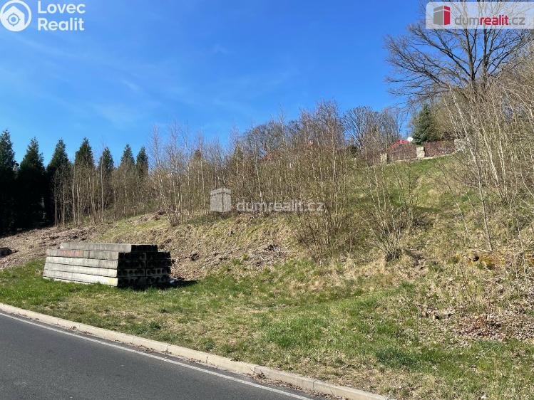 Prodej stavebního pozemku Cheb, Dvořákova č. 6