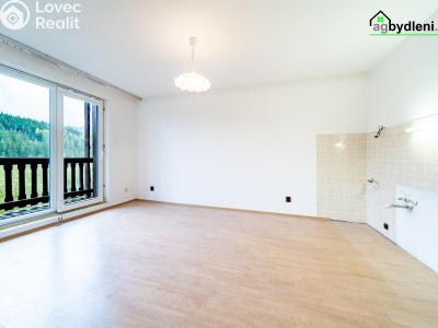 Prodej bytu 2+KK Železná Ruda, 1. máje č. 4