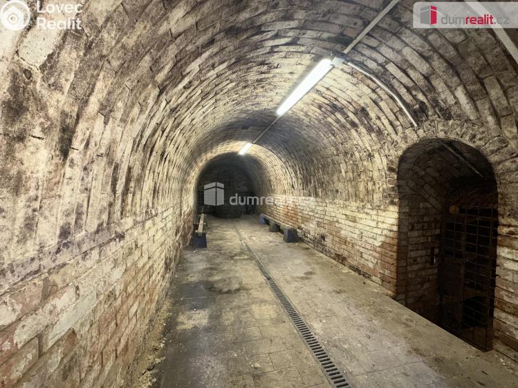 Prodej ubytovacího zařízení Čejkovice, Vinařská č. 11