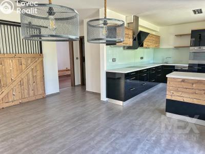 Sale family house Ostrov č. 3