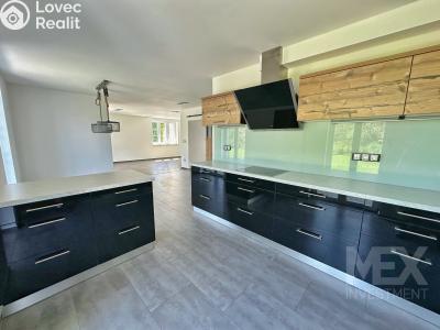 Sale family house Ostrov č. 4