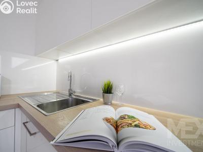 Prodej bytu 2+KK Hradec Králové, Ve Stromovce 743 č. 3