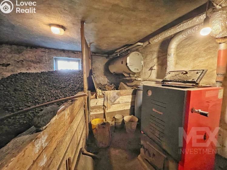 Prodej rodinného domu Holohlavy, Na Lávkách 161 č. 28
