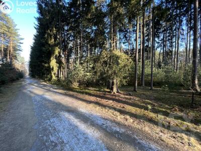 Prodej bytu 3+KK Hradec Králové, Čajkovského č. 14
