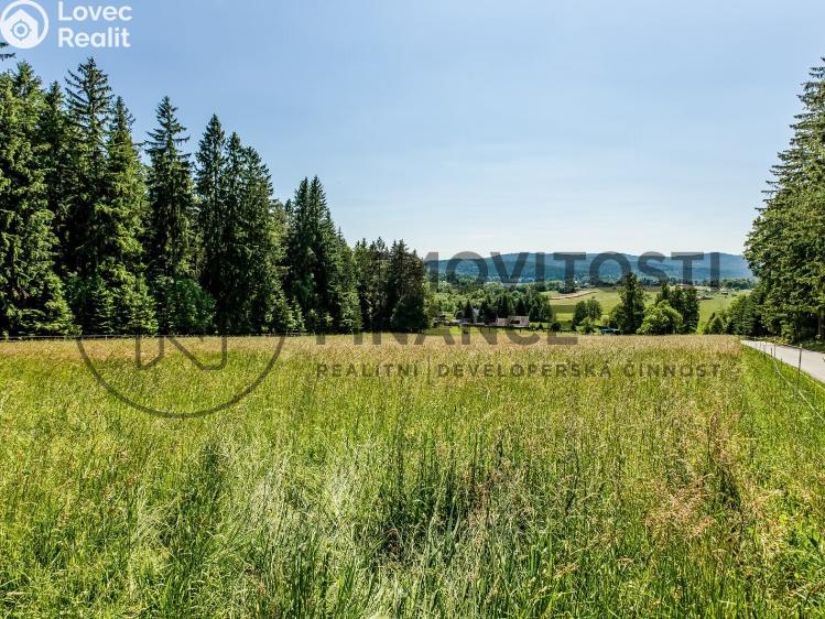 Prodej komerčního pozemku Frymburk č. 20