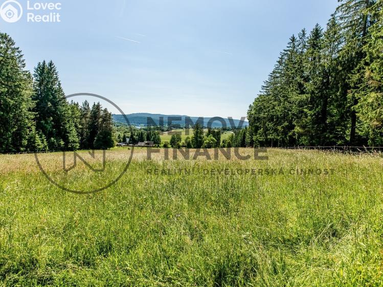 Prodej komerčního pozemku Frymburk č. 21