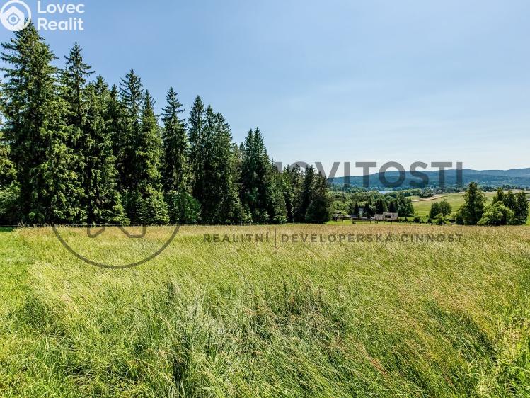 Prodej komerčního pozemku Frymburk č. 22