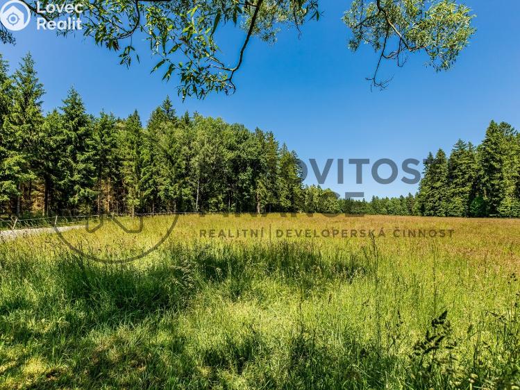 Prodej komerčního pozemku Frymburk č. 29