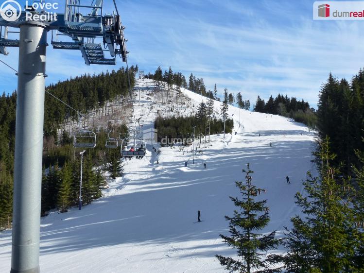 Prodej chaty Merklín č. 60