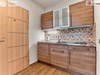 Prodej bytu 2+KK Merklín č. 5