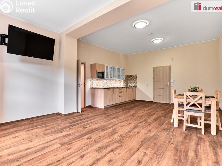 Prodej bytu 1+KK Merklín č. 11