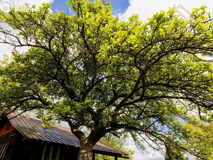 Продажа хижины Děčín č. 12