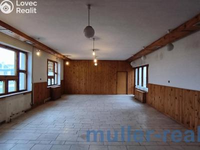 Продаж комерційної нерухомості Žichovice č. 12