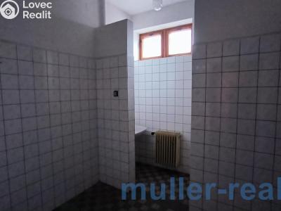Продаж комерційної нерухомості Žichovice č. 19