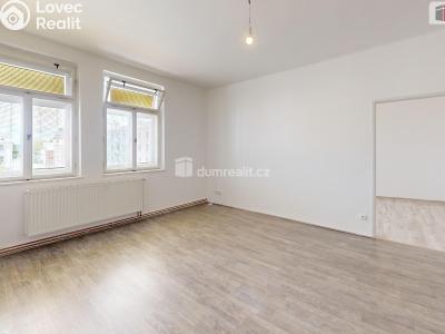 Rent apartment 2+1 Opava, Dolní náměstí č. 5