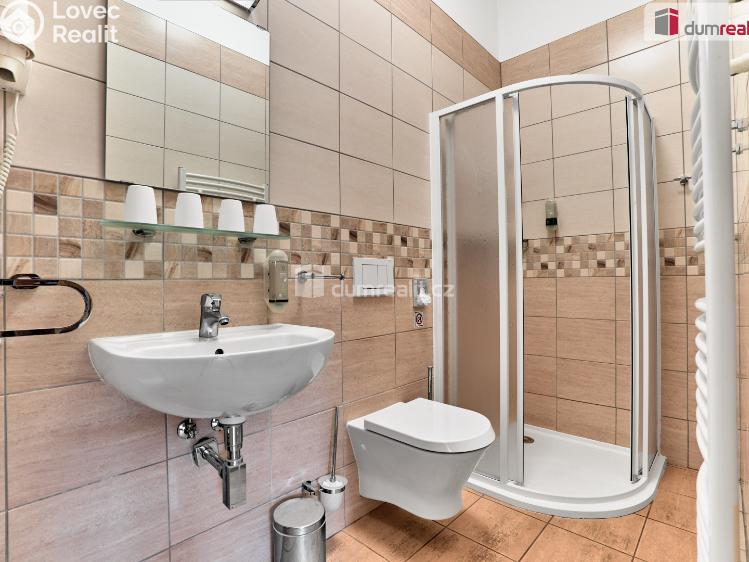 Sale hotel Merklín č. 53