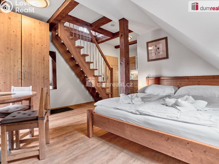 Sale hotel Merklín č. 55