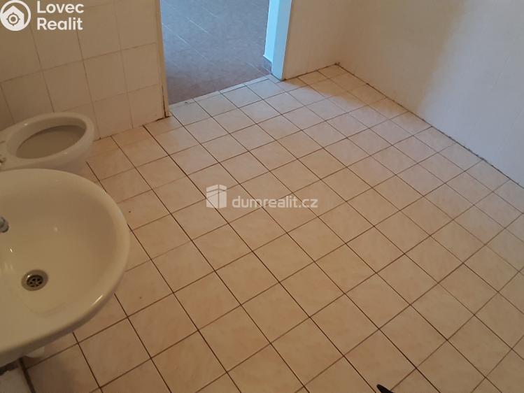 Pronájem obchodního prostoru Týnec nad Sázavou, Na Kněžině č. 8