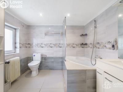 Продажа семейного дома Habartov č. 5