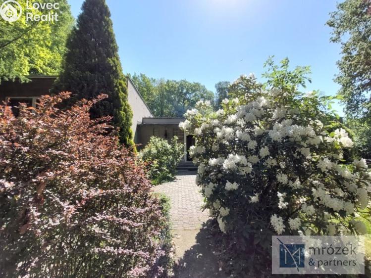 Prodej rodinného domu Ostrava, Plzeňská 703/463 č. 16