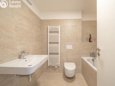 Rent apartment 2+KK Praha, Mezi vodami č. 4