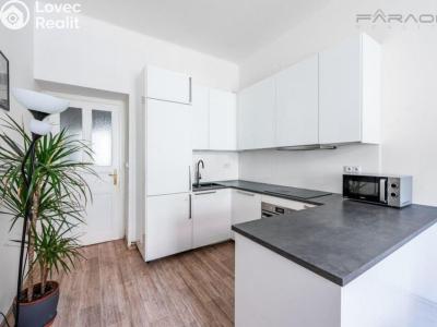 Rent apartment 3+KK Praha, Oldřichova č. 2