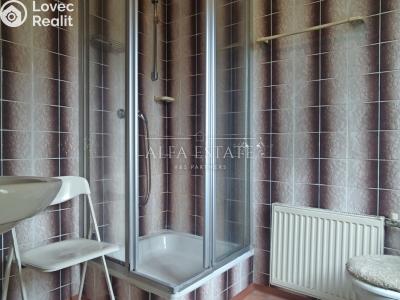 Продажа семейного дома Nejdek č. 19