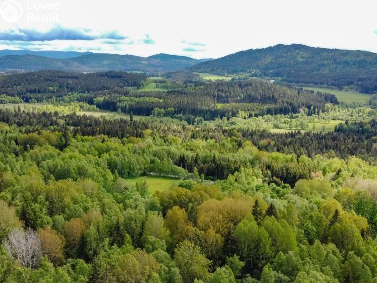 Prodej rodinného domu Horní Vltavice č. 31