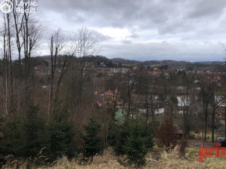 Prodej lesa Mirošovice, Karlín 306 č. 1