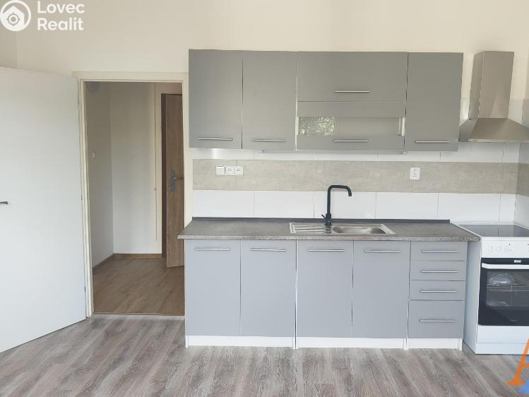 Pronájem bytu 2+1 Děčín, V Sídlišti 390 č. 11