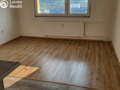 Pronájem bytu 2+1 Děčín, V Sídlišti 390 č. 4