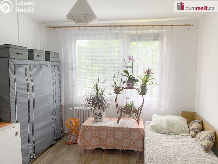 Prodej bytu 2+1 Ledeč nad Sázavou, Stínadla č. 19