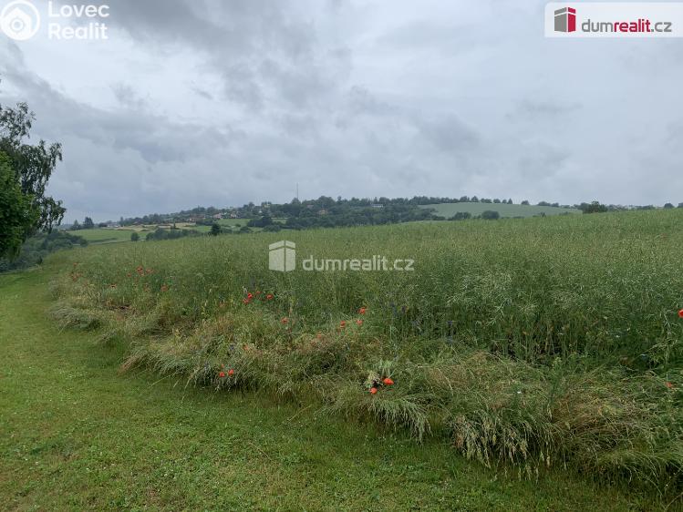 Prodej bytu 2+1 Ledeč nad Sázavou, Stínadla č. 64