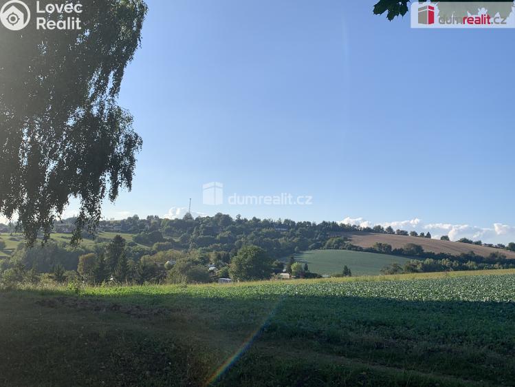 Prodej bytu 2+1 Ledeč nad Sázavou, Stínadla č. 10